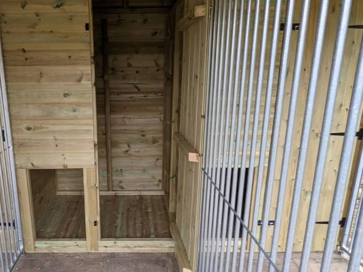 16 X 12 ft Four Bay Dog Kennel - Image 2