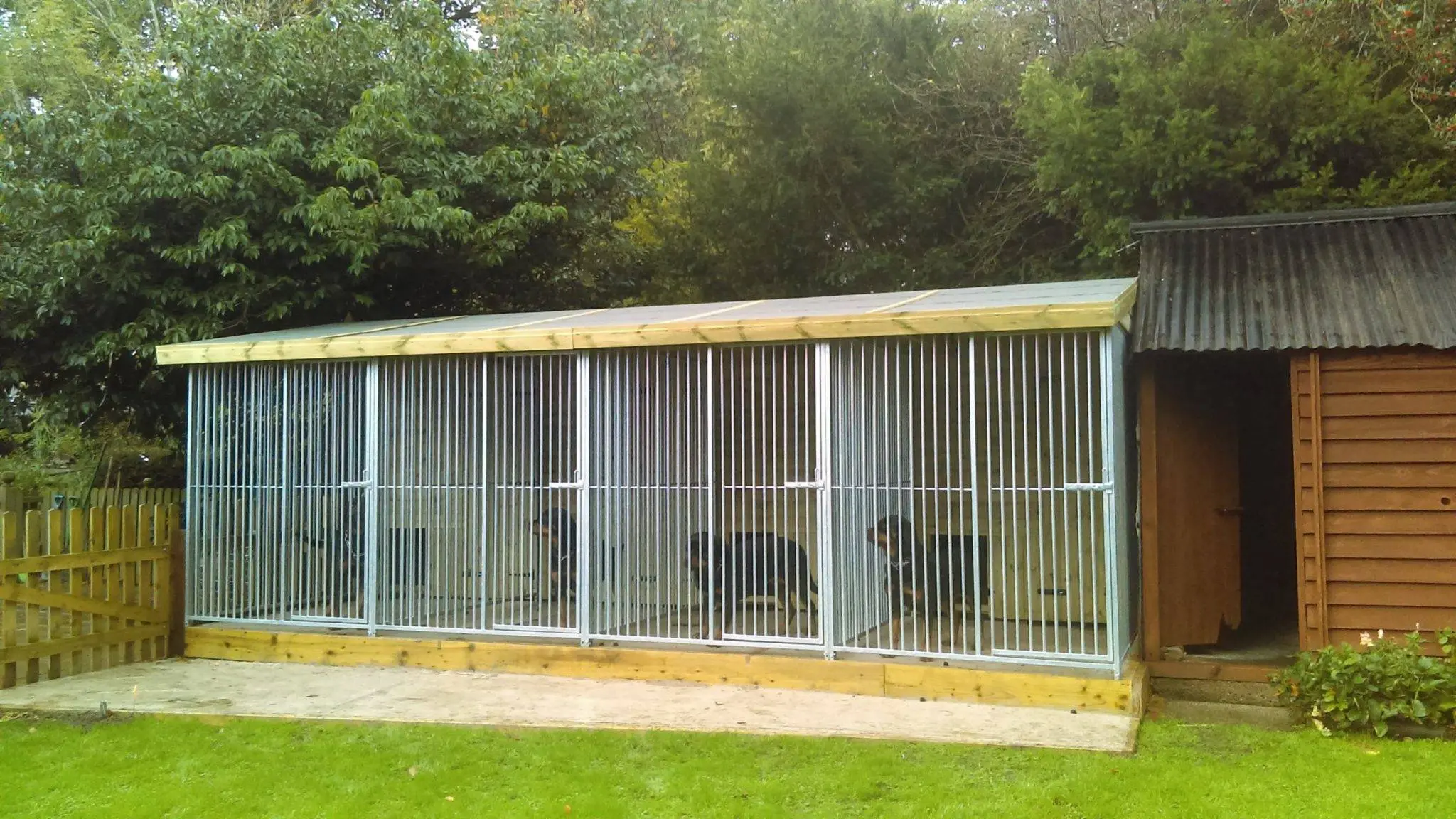 20 X 8 ft Four Bay Dog Kennel - Image 6