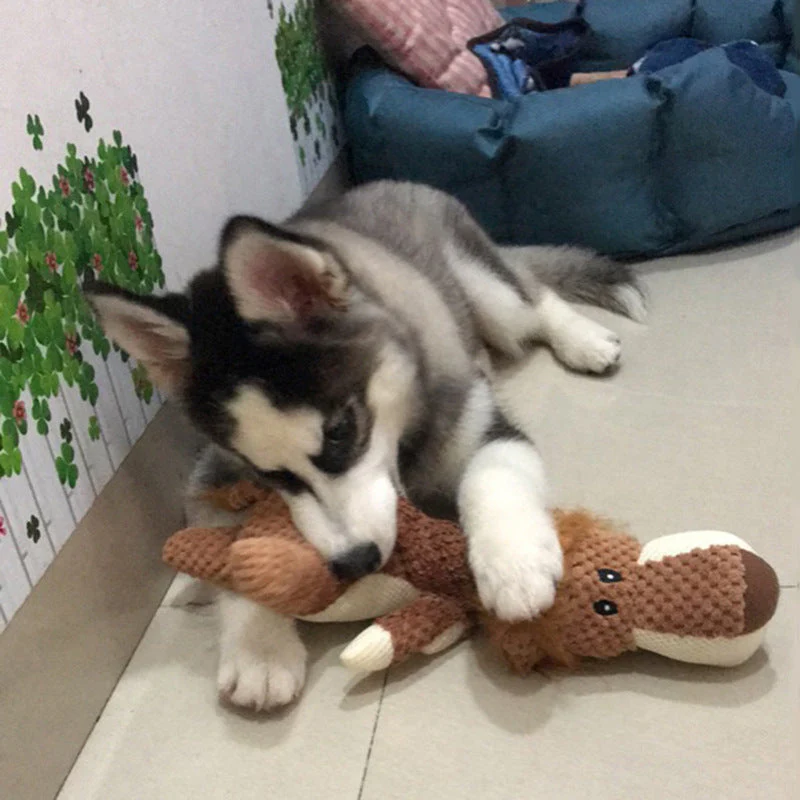 Bite-resistant dog toys - Image 5