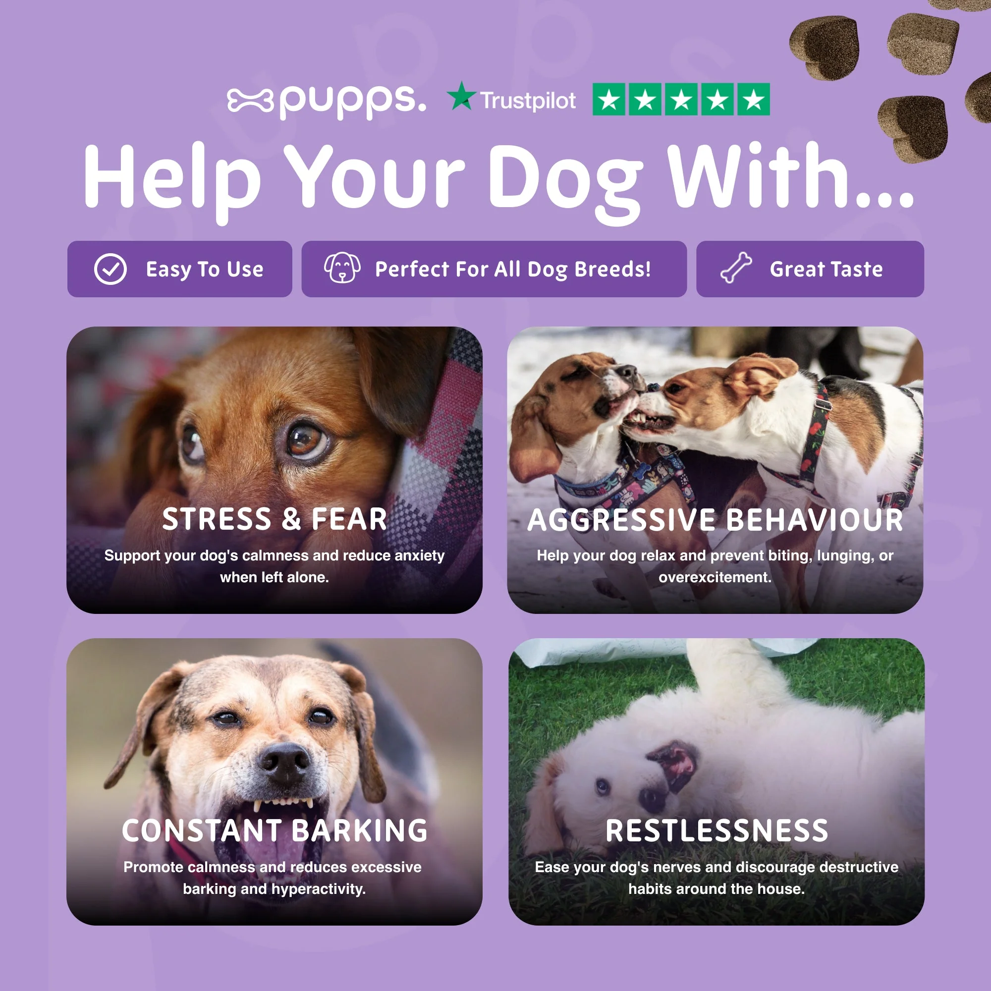 Calming Treats - Image 8