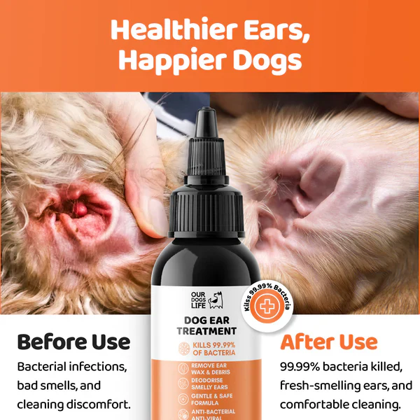 DOGSLIFE Dog Ear Infection Treatment Drops - 100ml - Image 5