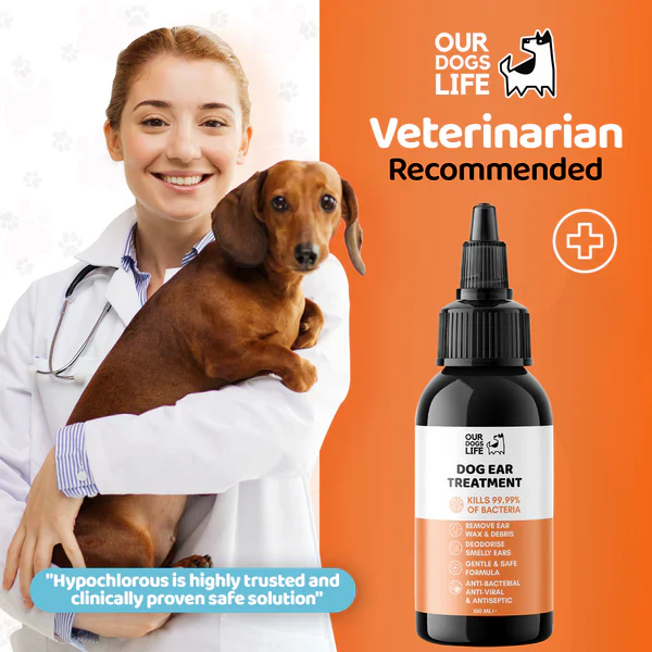 DOGSLIFE Dog Ear Infection Treatment Drops - 100ml - Image 6