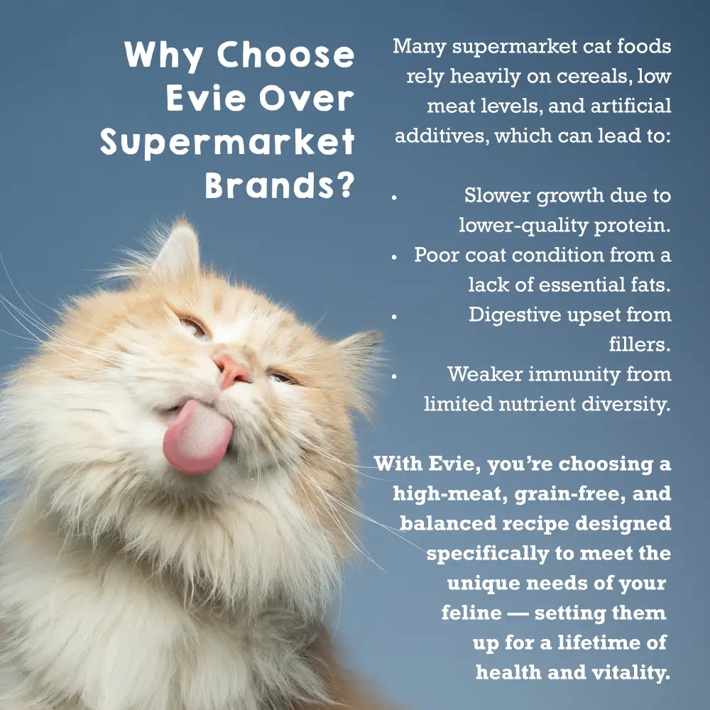 Evie Natural Dry Cat Food Salmon with Whitefish - Image 5