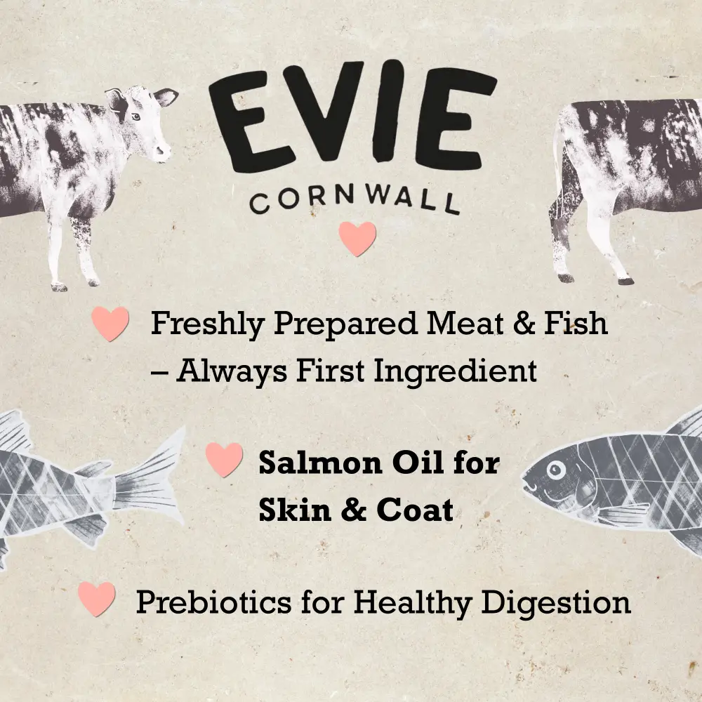 Evie Natural Dry Cat Food Turkey With Chicken - Image 4
