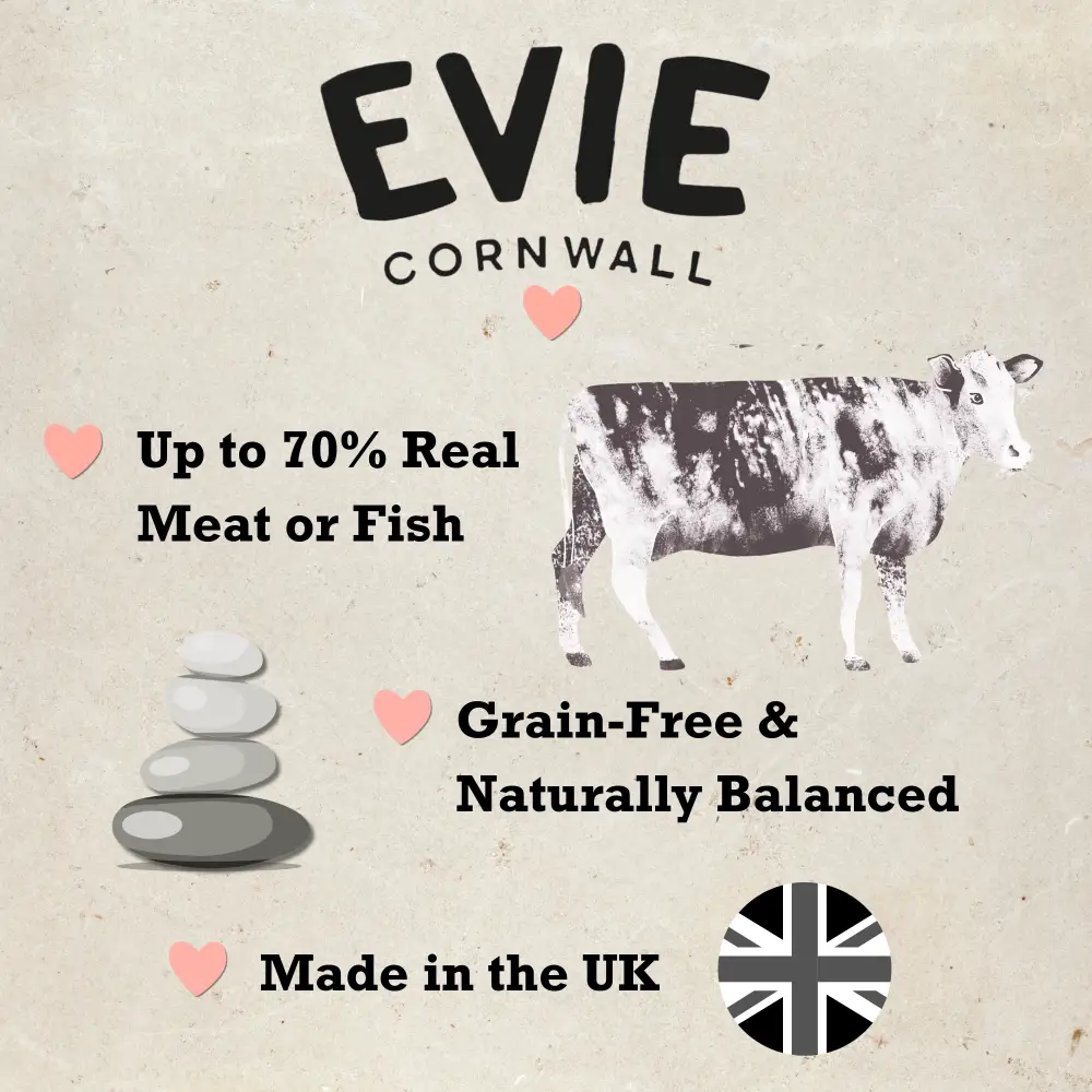 Evie Natural Dry Kitten Food Turkey With Chicken - Image 4