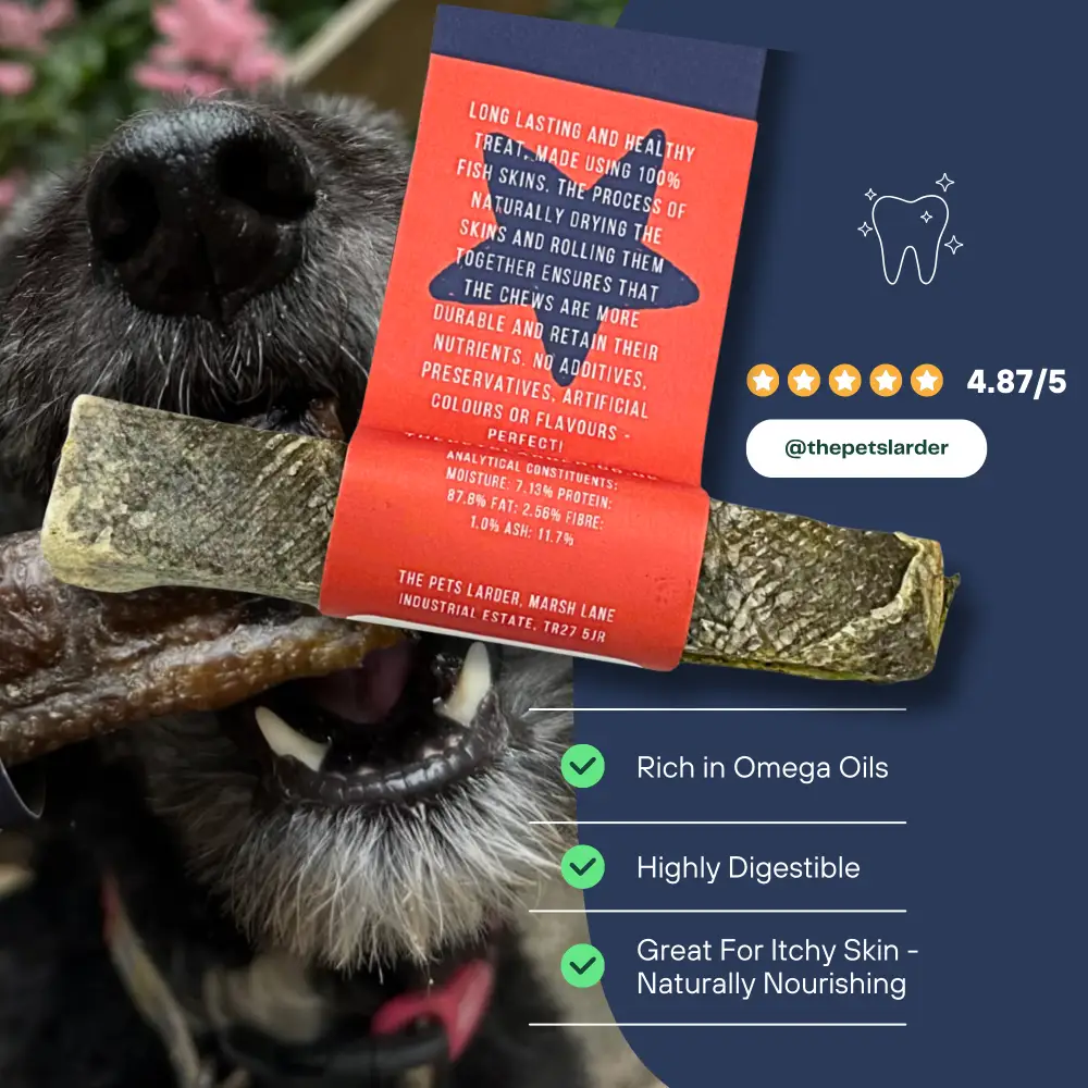Fish Stick Chew For Dogs - Image 3