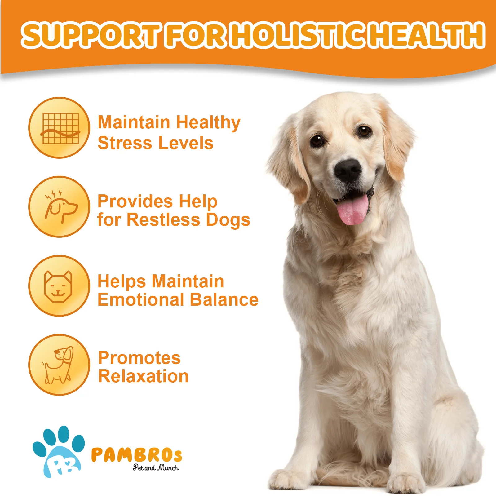 Natural Calming Chews for Dogs – Stress Relief, Anxiety & Relaxation Support - Image 4