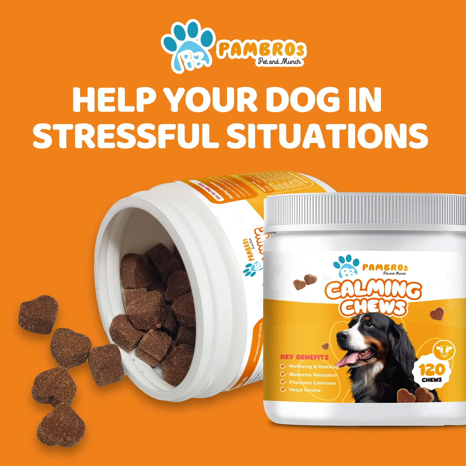 Natural Calming Chews for Dogs – Stress Relief, Anxiety & Relaxation Support - Image 5