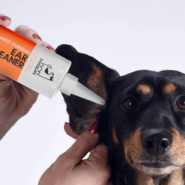 DOGSLIFE Anti-Fungal Ear Cleaner for Dogs - 237ml - Image 4