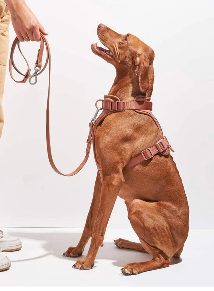Premium Dog Harness and Lead Set - Image 5