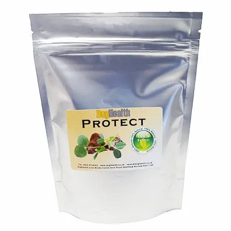 Protect probiotic for gut problems - Image 2