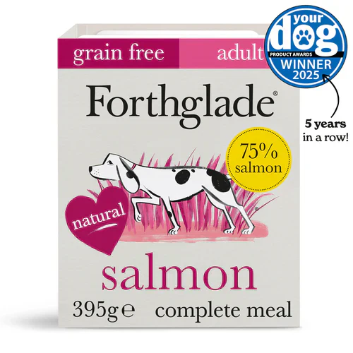 Salmon – 395g - Image 3