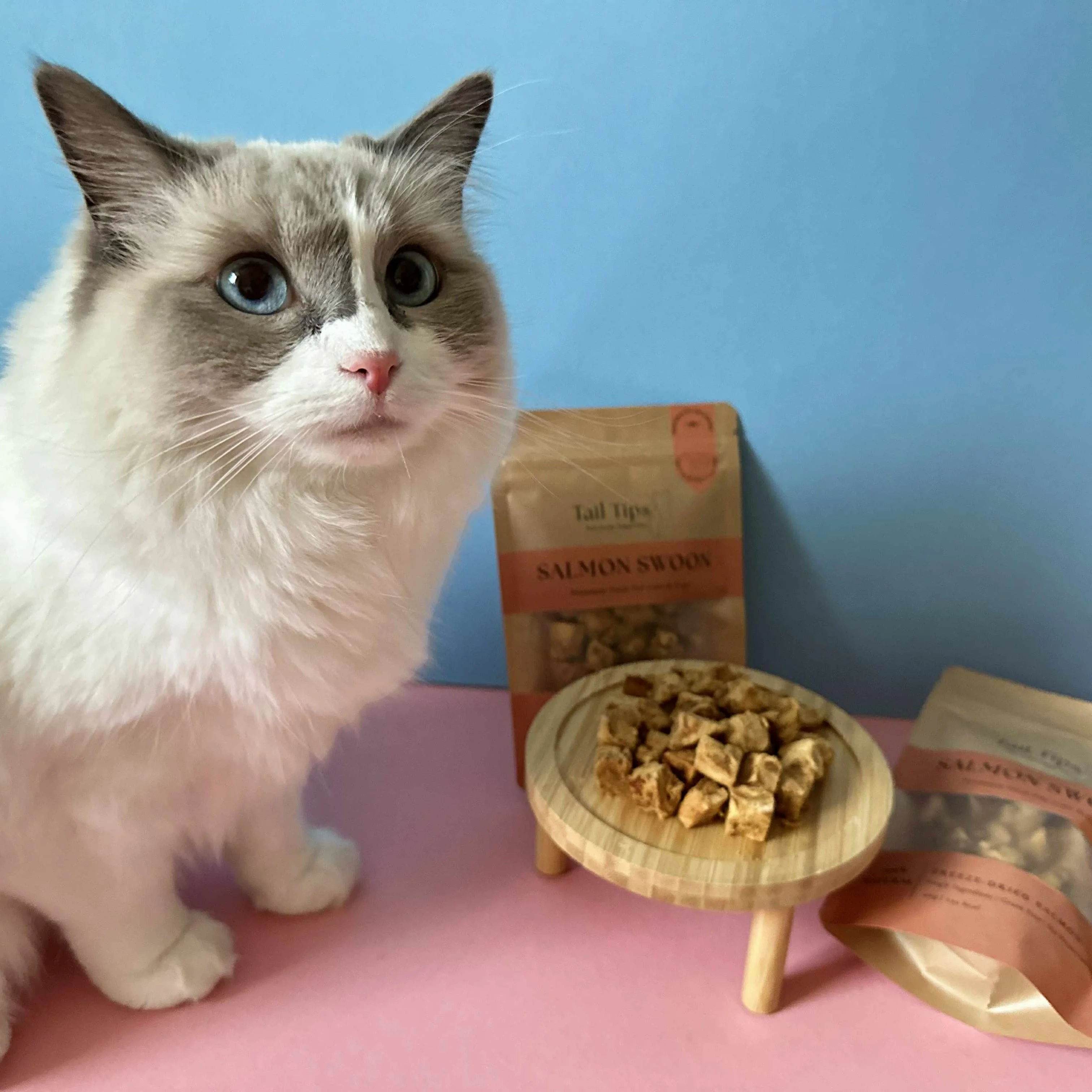 Salmon Swoon - 100% Freeze-Dried Salmon Treats | Pure & Natural | Tail Tips UK - Image 7