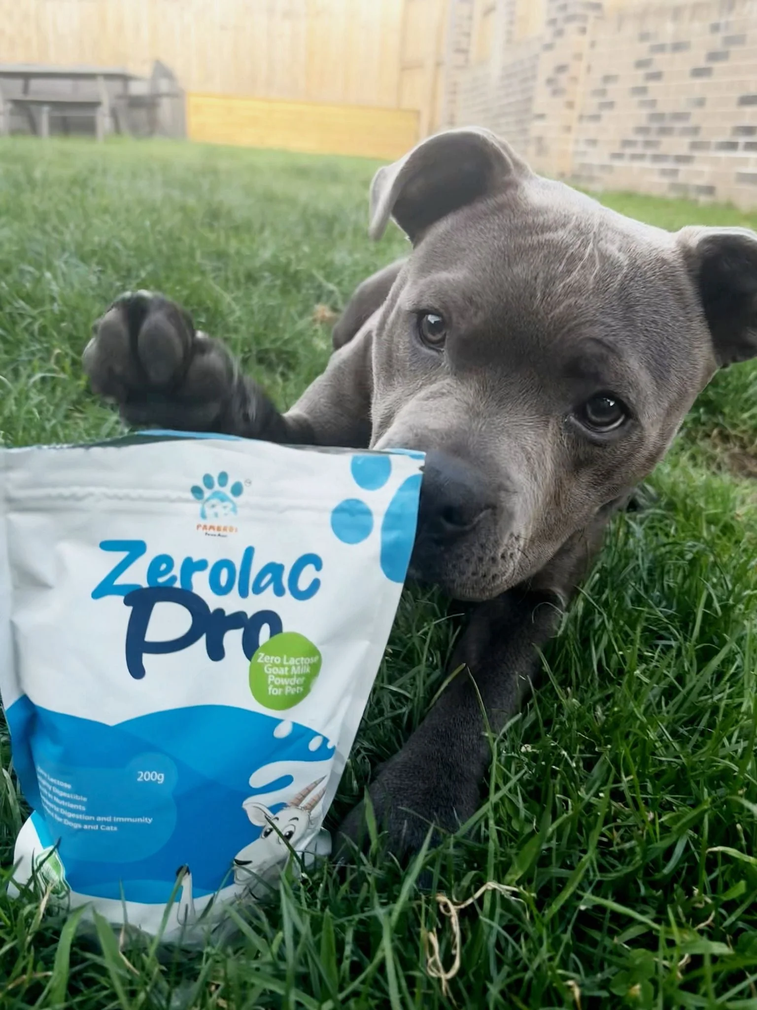 Zero-Lactose Goat Milk Powder for Dogs & Cats - Digestive & Immune Health Supplement - Image 7